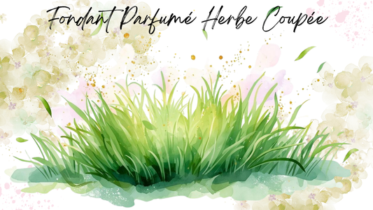Fondant Parfumé Herbe Coupée