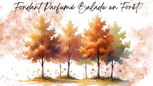 Fondant Parfumé Balade en Forêt