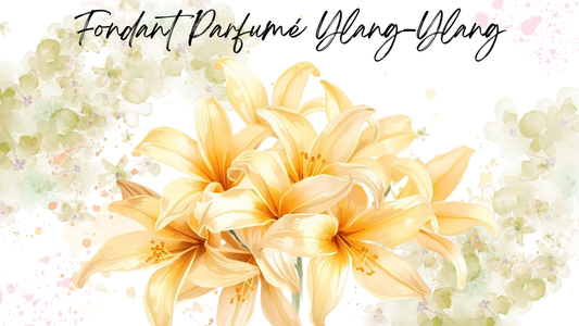Fondant Parfumé Ylang-Ylang