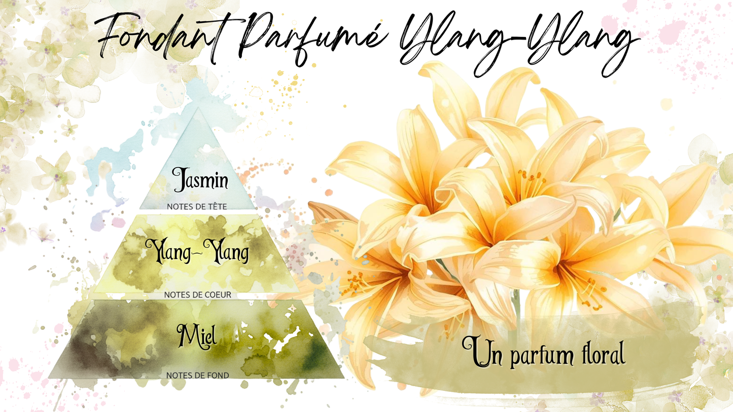 Coffret "Printemps Féerique"