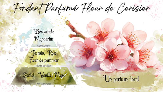 Coffret "Printemps Féerique"