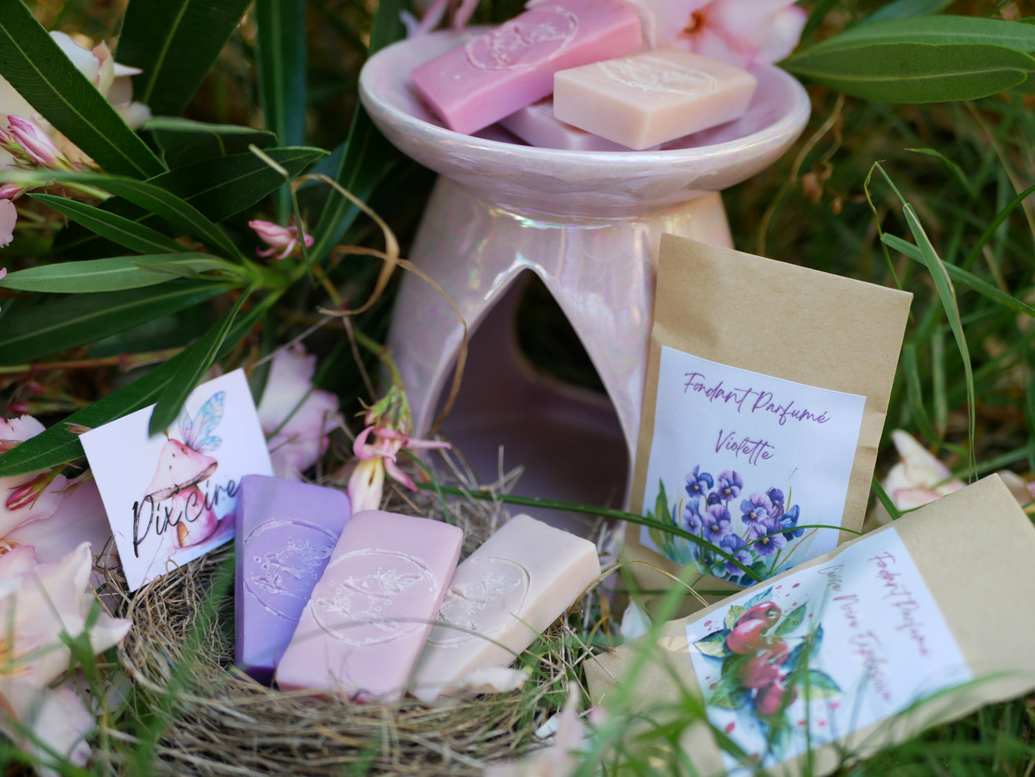 🌷 Collection de Printemps