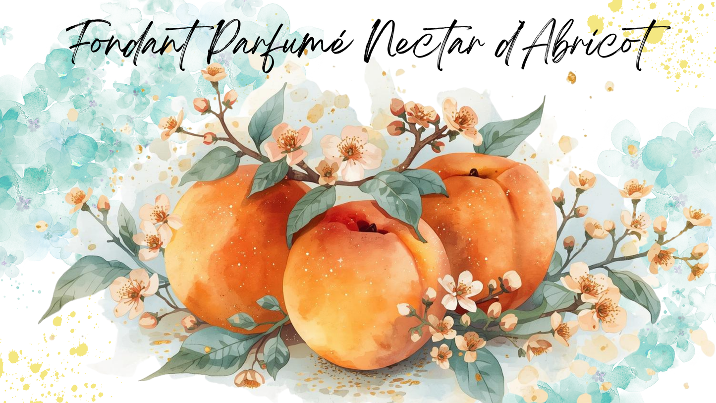 Fondant Parfumé Nectar d'Abricot
