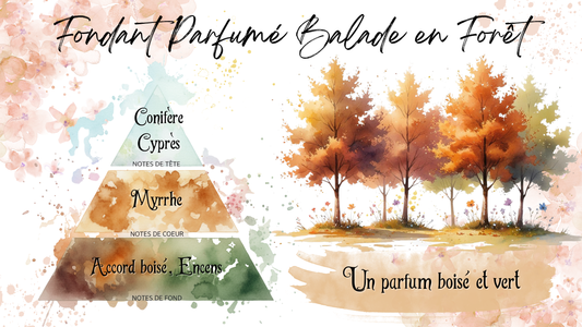 Coffret Automne Magique