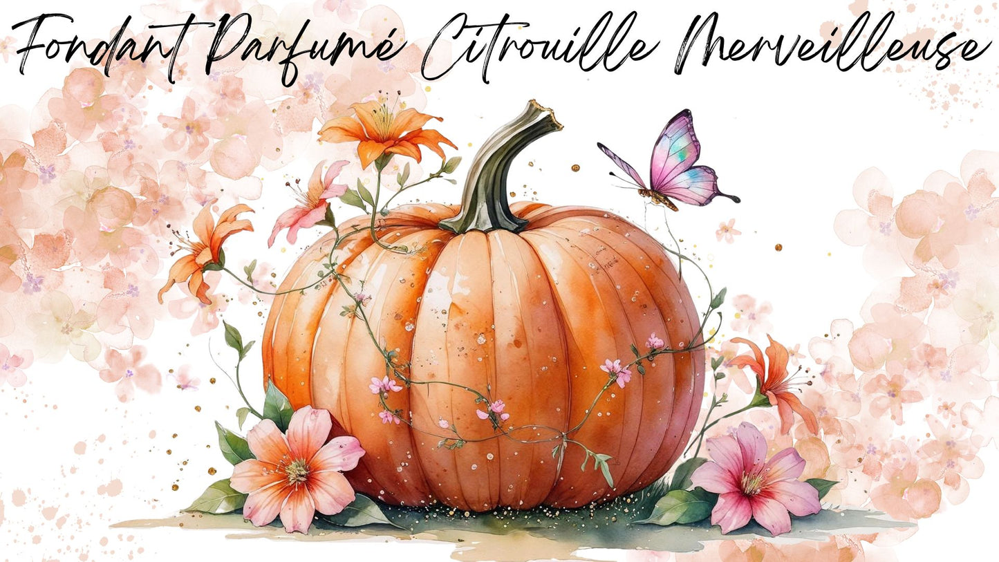 Fondant Parfumé Citrouille Merveilleuse