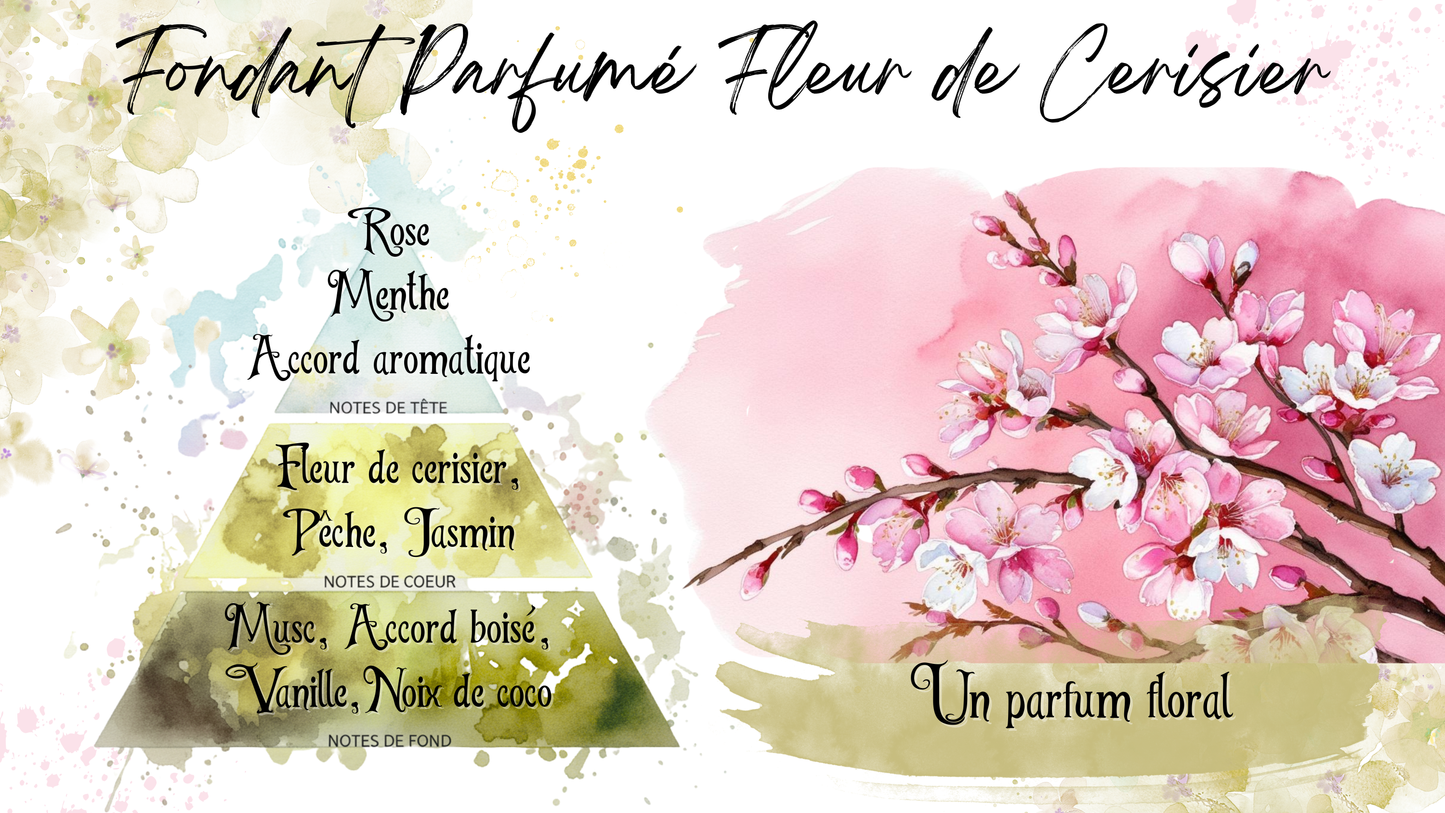 Coffret Printemps Féerique