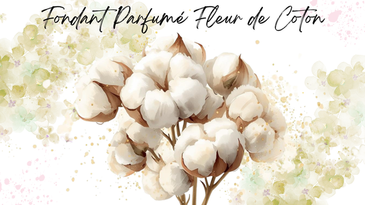 Fondant Parfumé Fleur de Coton