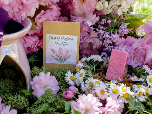 Fondant Parfumé Jacinthe